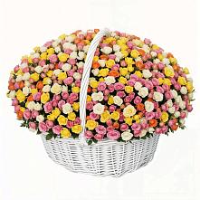 Премиум букет из: Розы в Цивильске