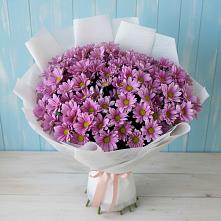 Букет цветов из:  Хризантемы в Цивильске
