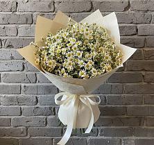 Букет цветов из:  Ромашки #REPLACE_PRED# Цивильске