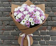 Букет цветов из:  Хризантемы #REPLACE_PRED# Цивильске