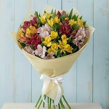 Букет цветов из:  Альстромерии в Цивильске