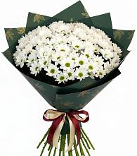 Букет цветов из:  Хризантемы #REPLACE_PRED# Цивильске