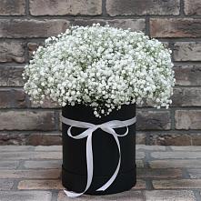 Цветочная композиция из Гипсофила в шляпной коробке в Цивильске