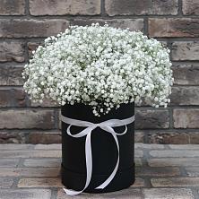 Цветочная композиция из Гипсофила в шляпной коробке в Цивильске